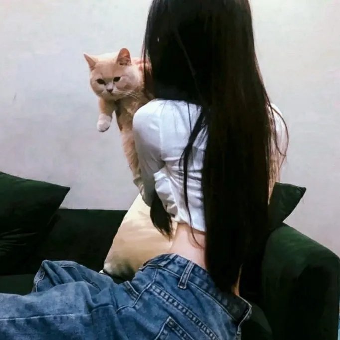 本周新剧